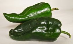 Pepper, Poblano